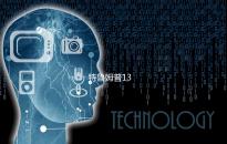 特鲁姆普13
