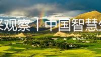 晶采观察丨中国智慧生产“加速跑” 看懂前三季度工业经济“成色”